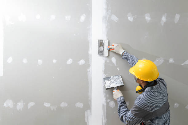 Best Emergency Mold Remediation  in Lemon Hill, CA