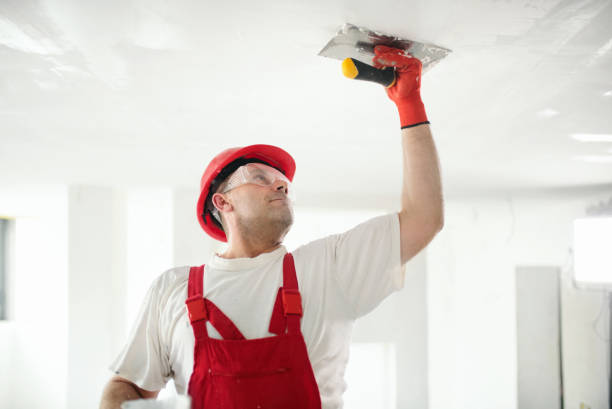 Trusted Lemon Hill, CA Mold Removal Experts